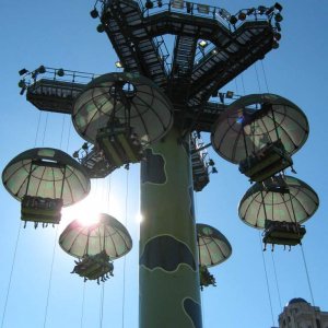 Disneyland Aug 2010 022