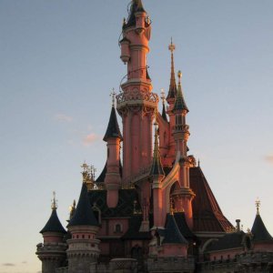 Disneyland Aug 2010 155