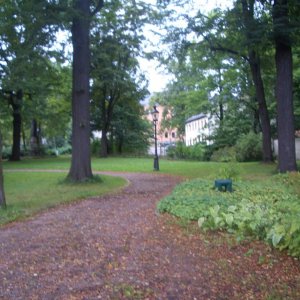CIMG6861