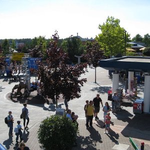 k IMG 7671