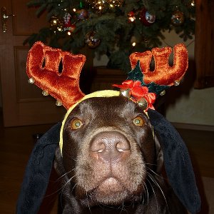 Beitrag 21 - Silvester

Platz 1 im Wettbewerb