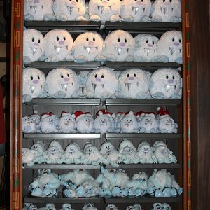 Beitrag 30 - disneyrunner