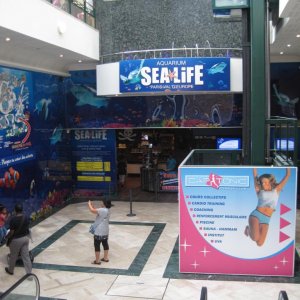 Sealife