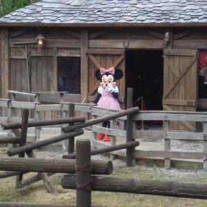 DSC02487