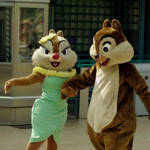 Beitrag 24 - Katha04
