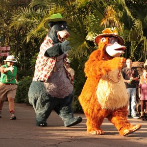 Beitrag 26 - disneyrunner