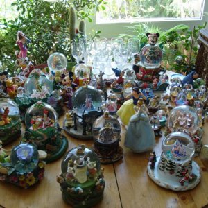 DSC05506