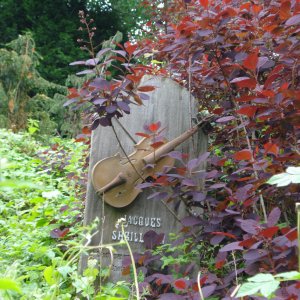 DSC02471