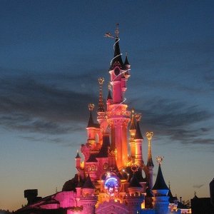 Beitrag 14