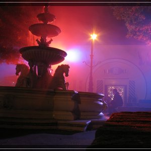 comp IMG 3622