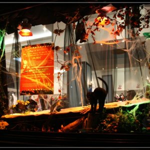 comp IMG 6909