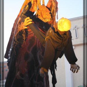comp IMG 6880