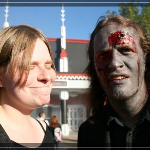 comp IMG 6842