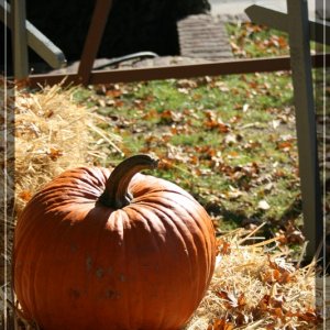 comp IMG 6802