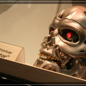 comp IMG 6783