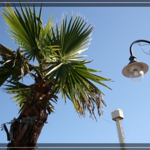 comp IMG 6776