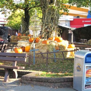 Movie Park 034