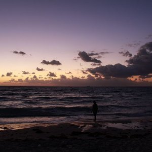 IMG 3681
