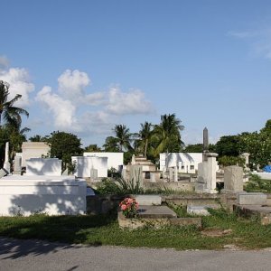IMG 4105