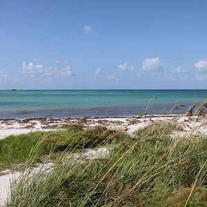 IMG 4438