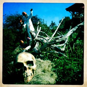 Halloween 2010