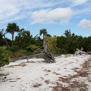 IMG 4694