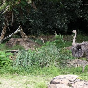 IMG 5470