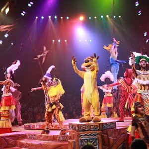 IMG 5566