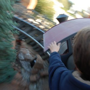 Disneyland 330