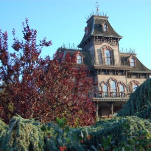 Disneyland 356