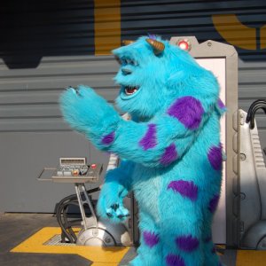 Disneyland 338
