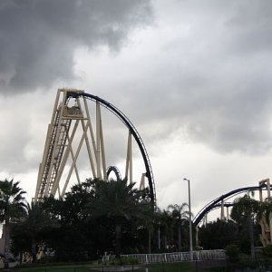 IMG 6517