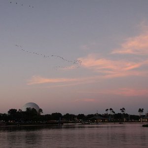 IMG 6733