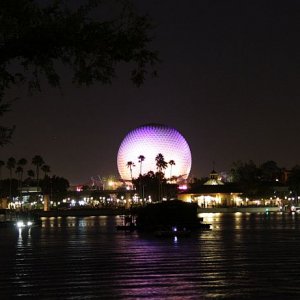 IMG 6768