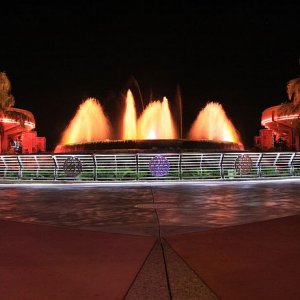 IMG 7082