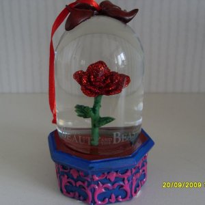 Beauty Rose