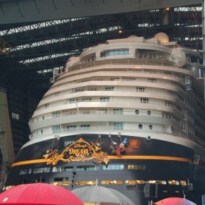Disney´s Dream