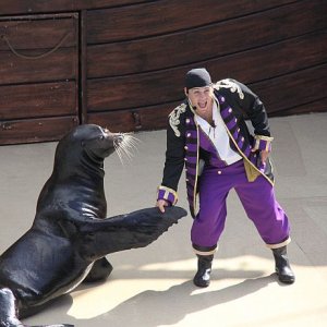 IMG 7165