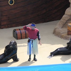 IMG 7185