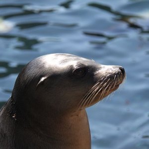 IMG 7540