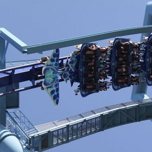 IMG 7555