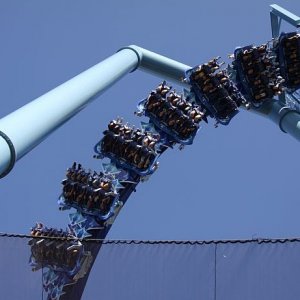 IMG 7557