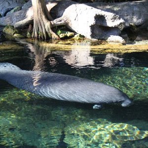 IMG 7581