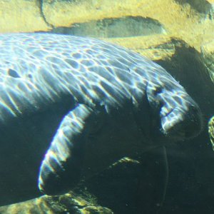 IMG 7585