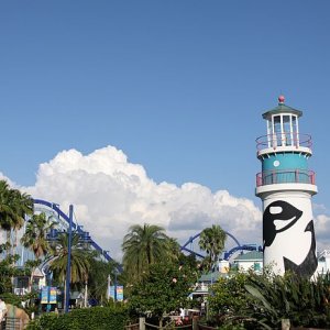 IMG 7593