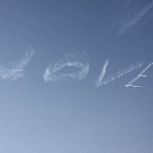 IMG 7596
