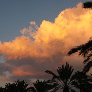 IMG 7603
