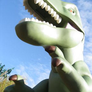k IMG 8242