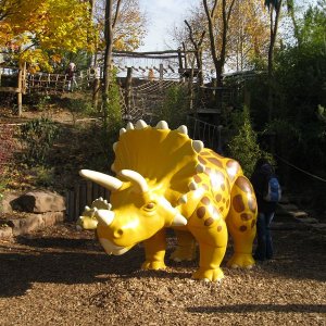 k IMG 8243