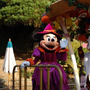 DSC 1374
